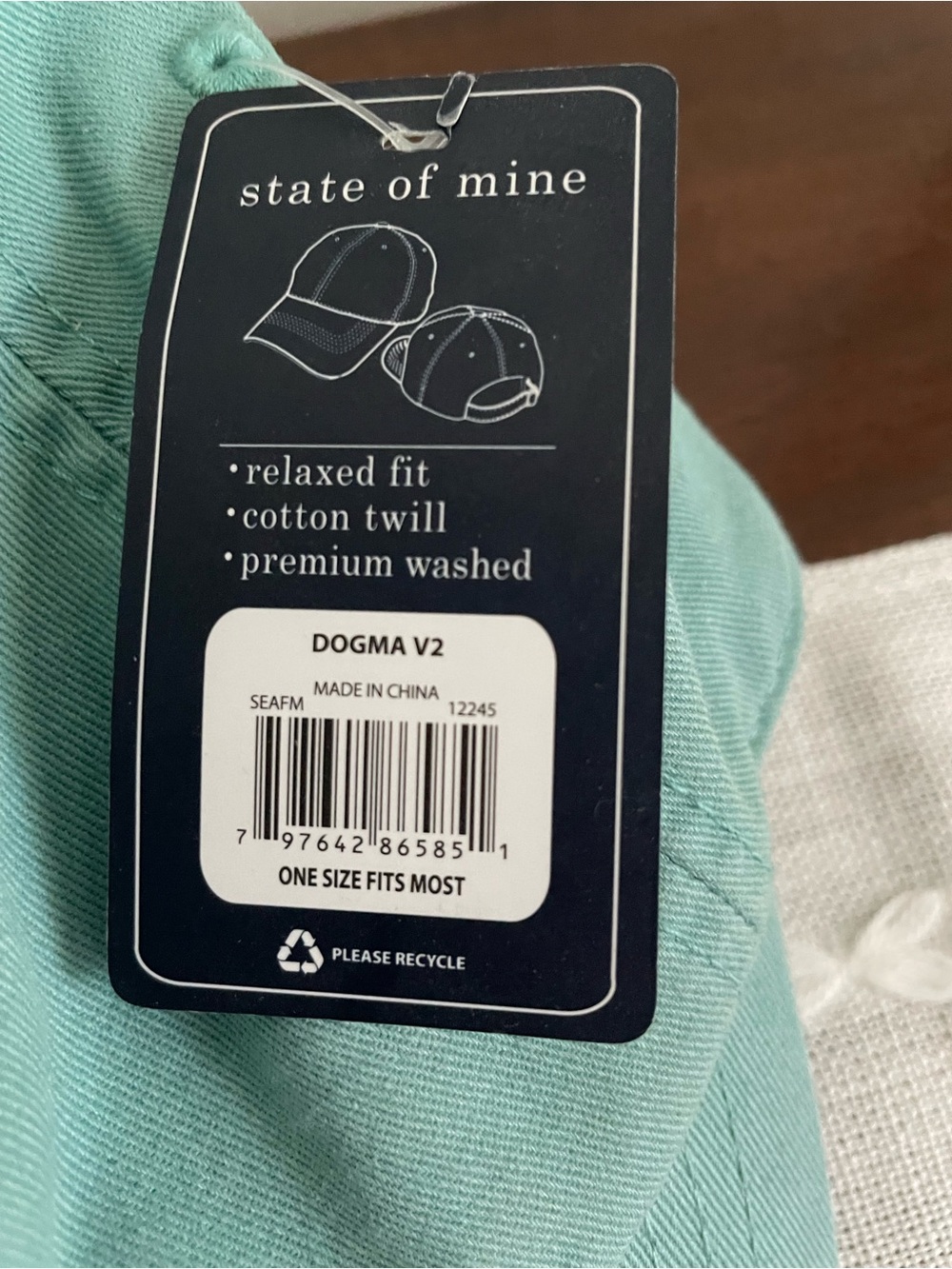 State of Mind Dog Person Baseball Cap - Teal NWT - Picture 2 of 4